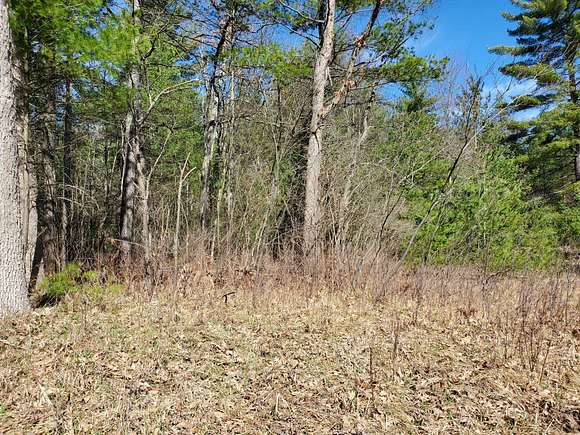 5.1 Acres of Land for Sale in Idlewild, Michigan