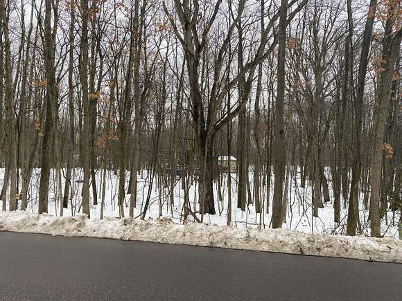 0.5 Acres of Land for Sale in Canadian Lakes, Michigan