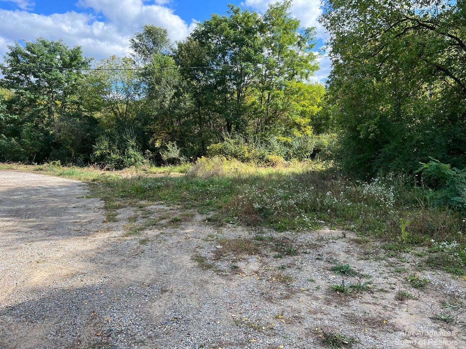 3 Acres of Land for Sale in Ypsilanti, Michigan