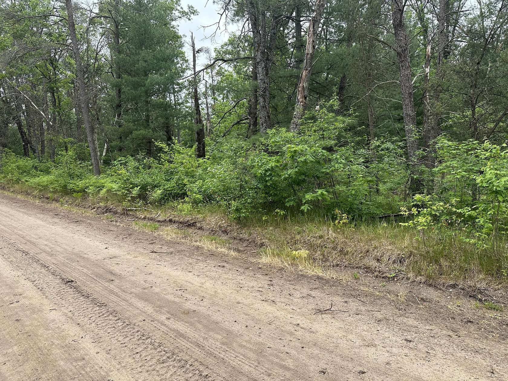 0.56 Acres of Land for Sale in Baldwin, Michigan