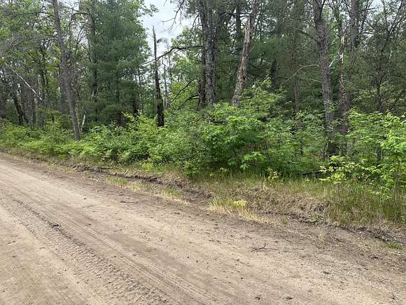 0.56 Acres of Land for Sale in Baldwin, Michigan
