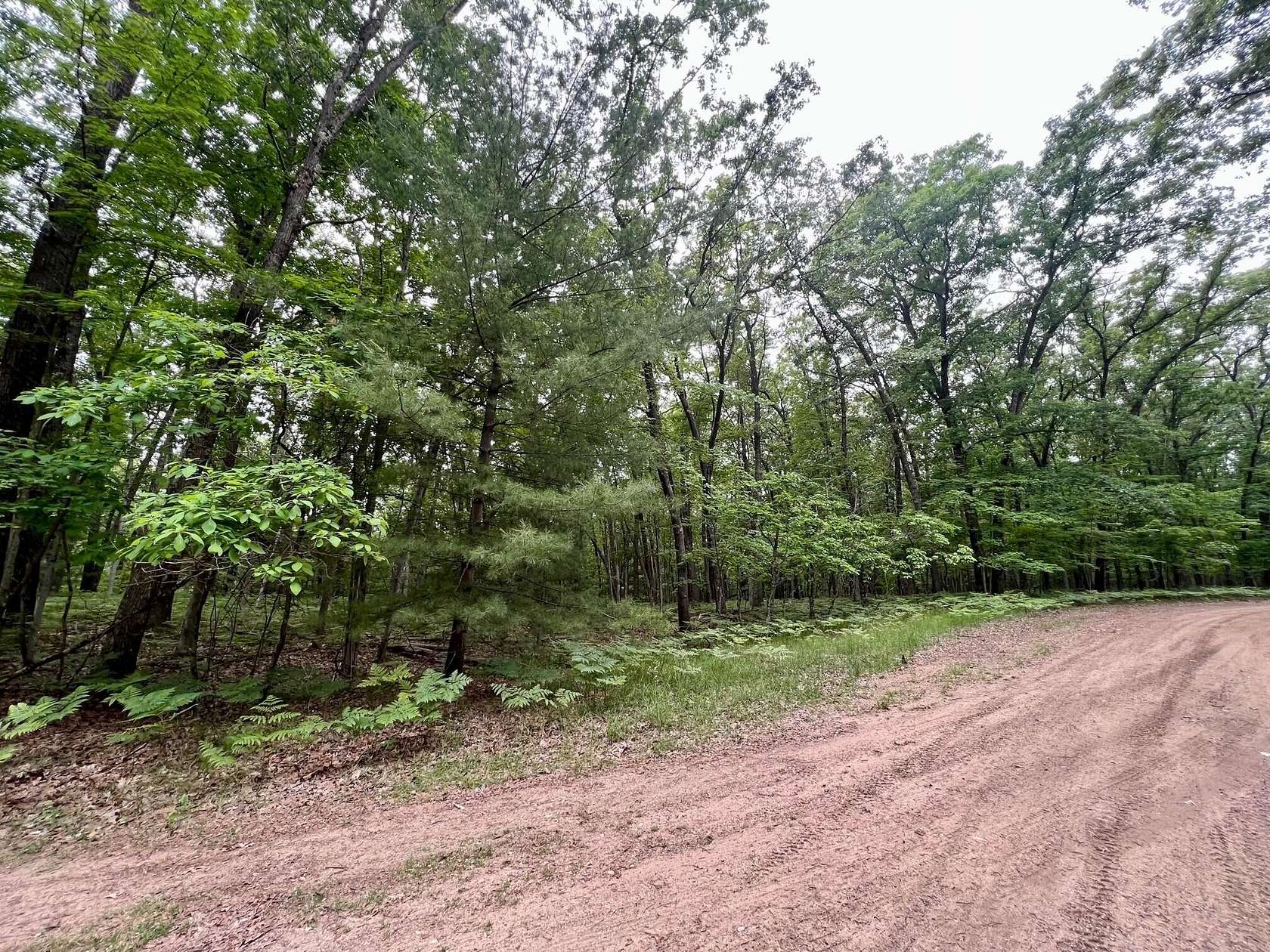 2.1 Acres of Land for Sale in Baldwin, Michigan