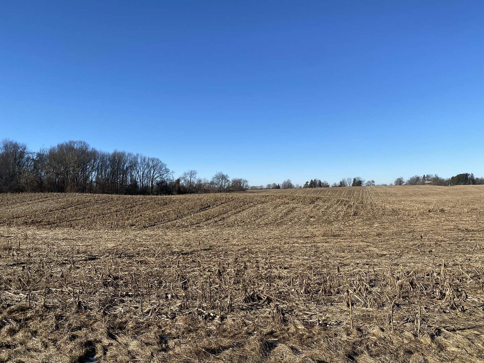 86.8 Acres of Agricultural Land for Sale in Sturgis, Michigan