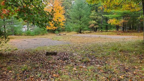 0.5 Acres of Residential Land for Sale in Baldwin, Michigan