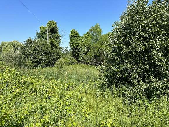 1 Acre of Land for Sale in Free Soil, Michigan