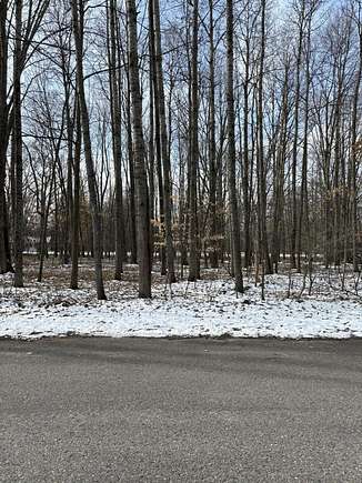 0.48 Acres of Residential Land for Sale in Canadian Lakes, Michigan