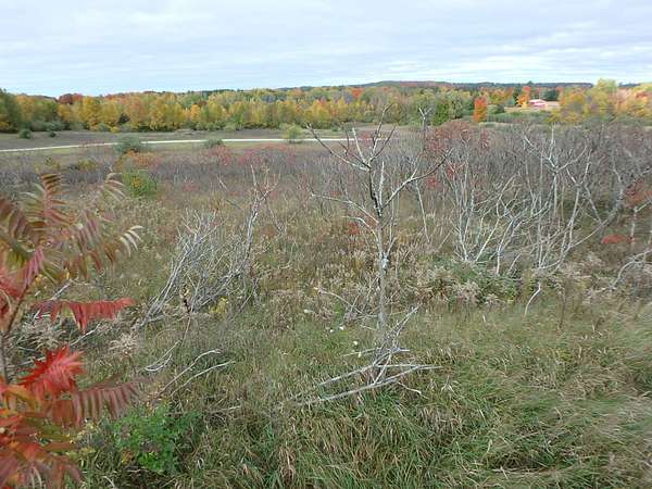 0.43 Acres of Residential Land for Sale in Shelby, Michigan