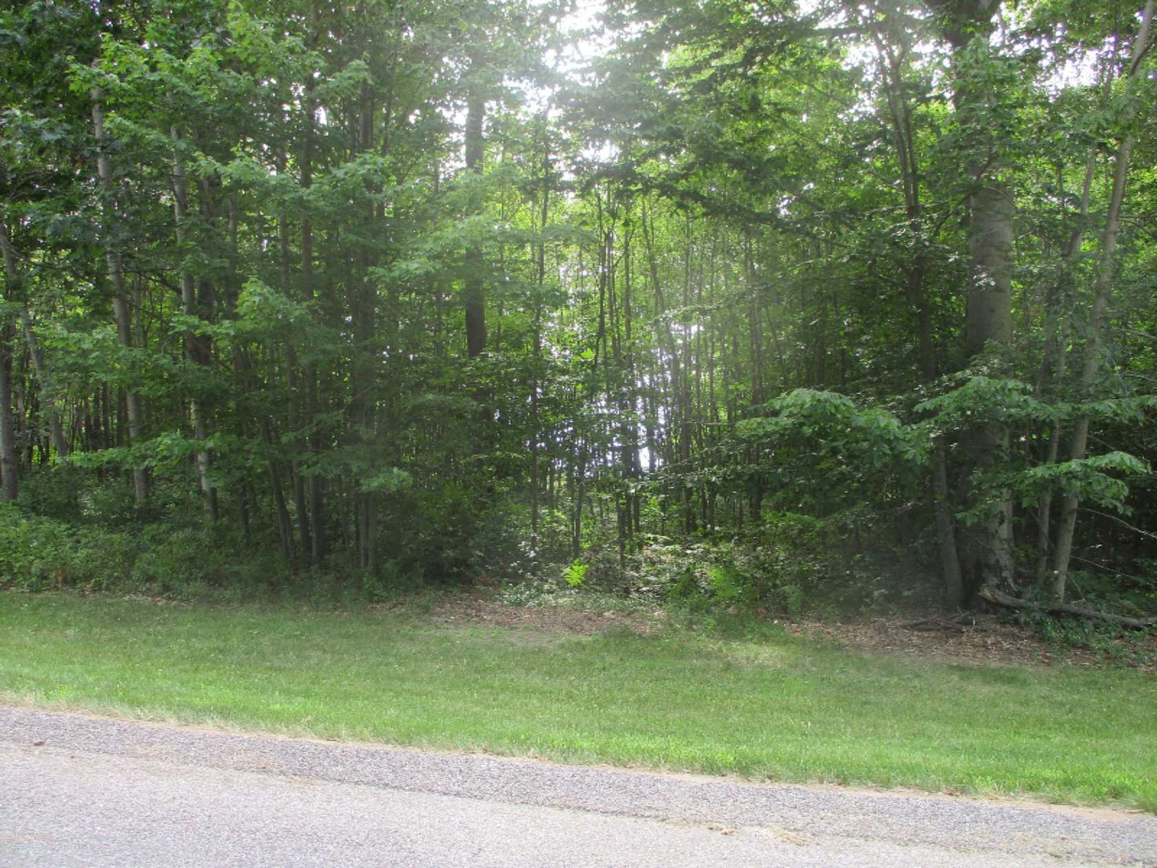 1.6 Acres of Residential Land for Sale in Onekama, Michigan