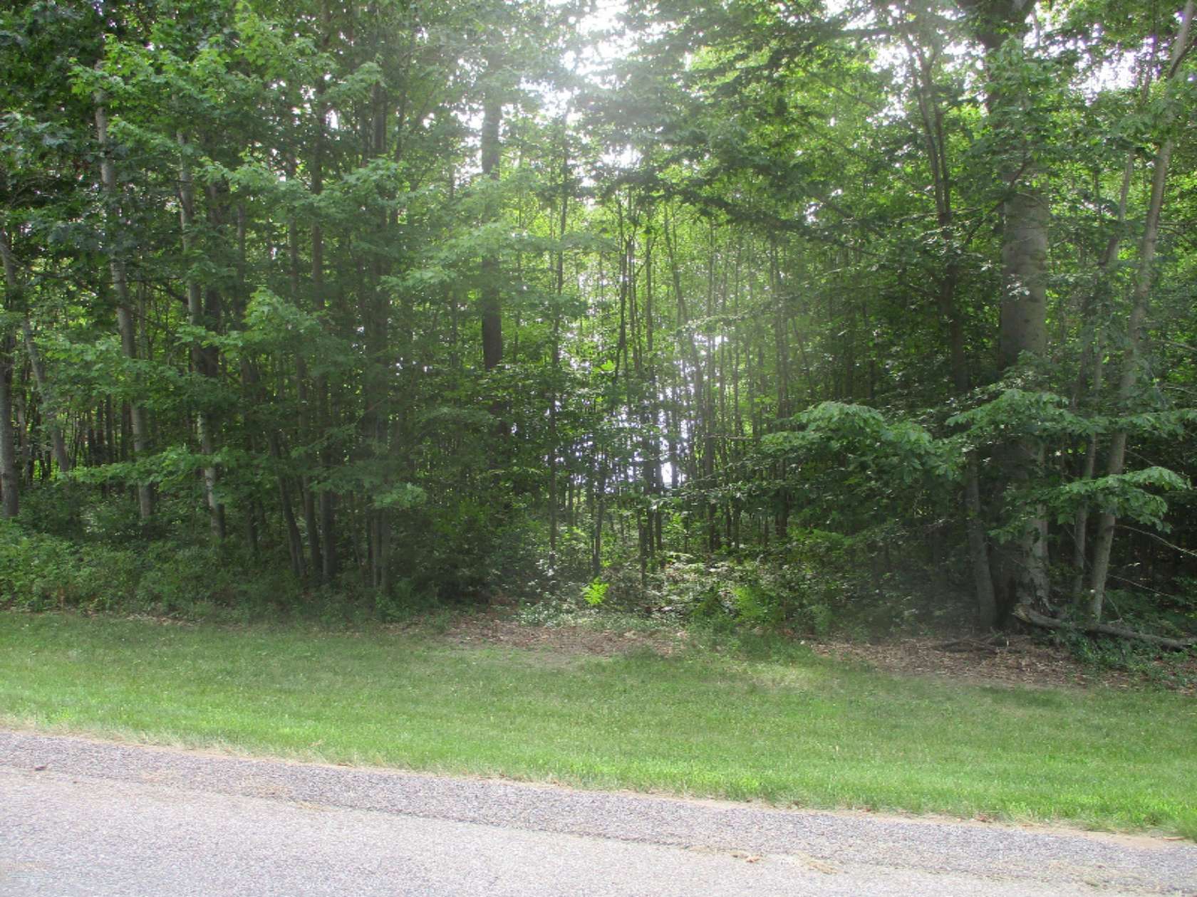 1.6 Acres of Land for Sale in Onekama, Michigan
