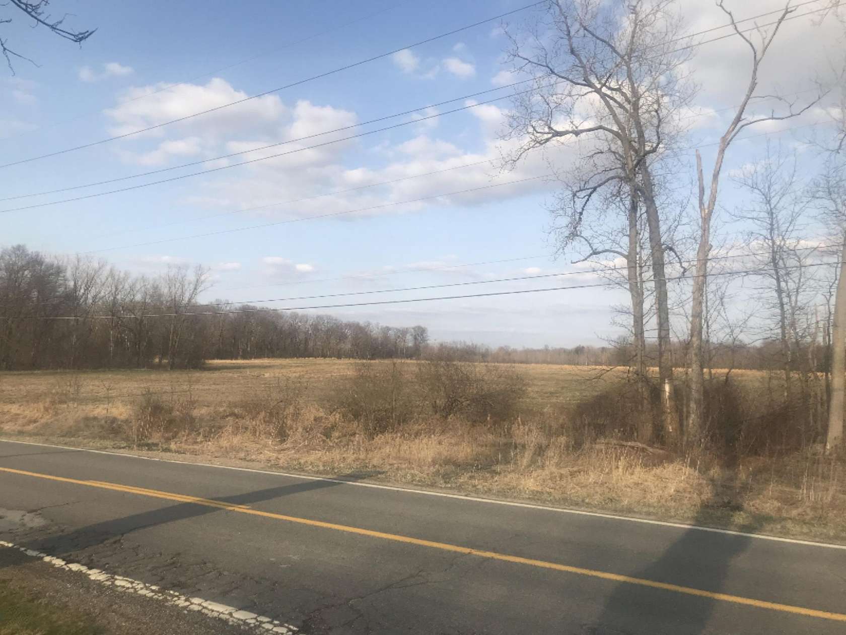 20 Acres of Land for Sale in Bridgman, Michigan