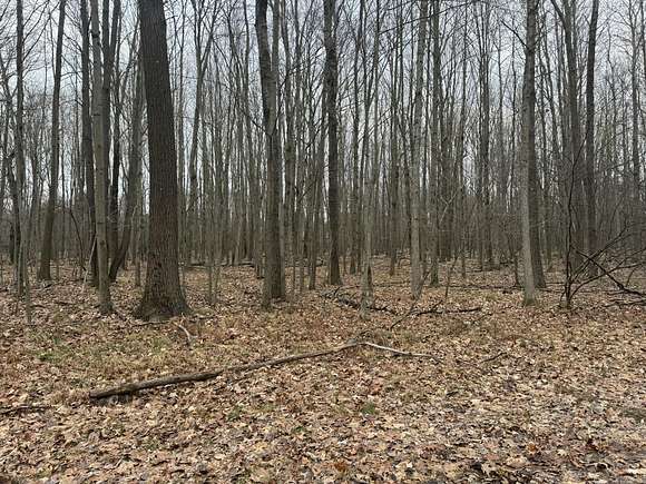 0.64 Acres of Residential Land for Sale in Canadian Lakes, Michigan