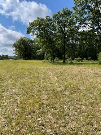 70.7 Acres of Land for Sale in Manistee, Michigan