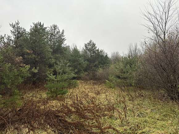 59.1 Acres of Recreational Land for Sale in Fruitport, Michigan
