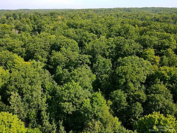 240 Acres of Recreational Land for Sale in Lupton, Michigan