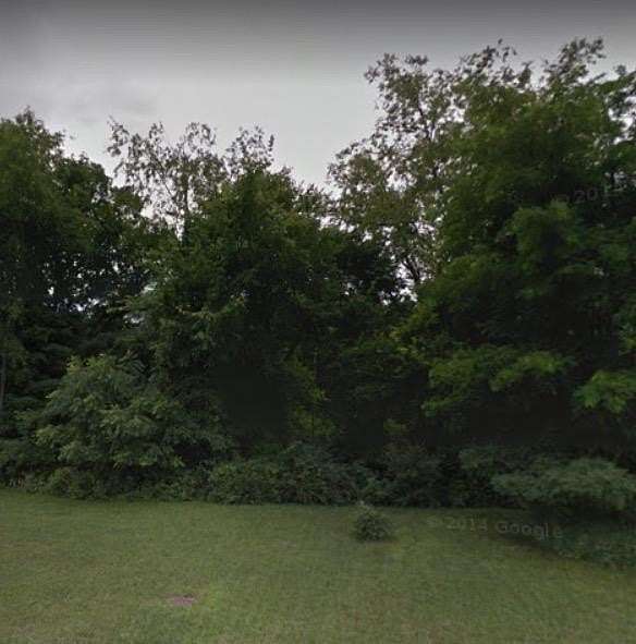 0.33 Acres of Residential Land for Sale in Manchester, Michigan