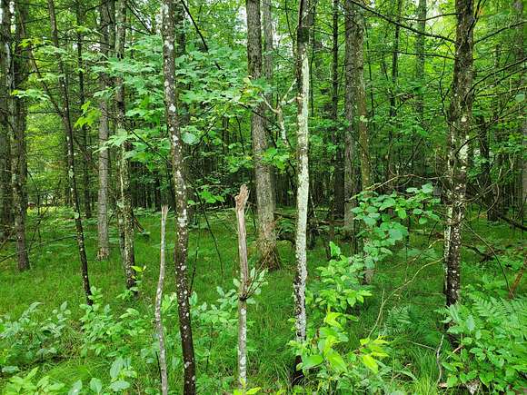 0.23 Acres of Land for Sale in Idlewild, Michigan