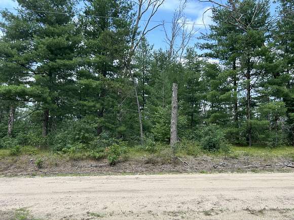 0.33 Acres of Land for Sale in Idlewild, Michigan