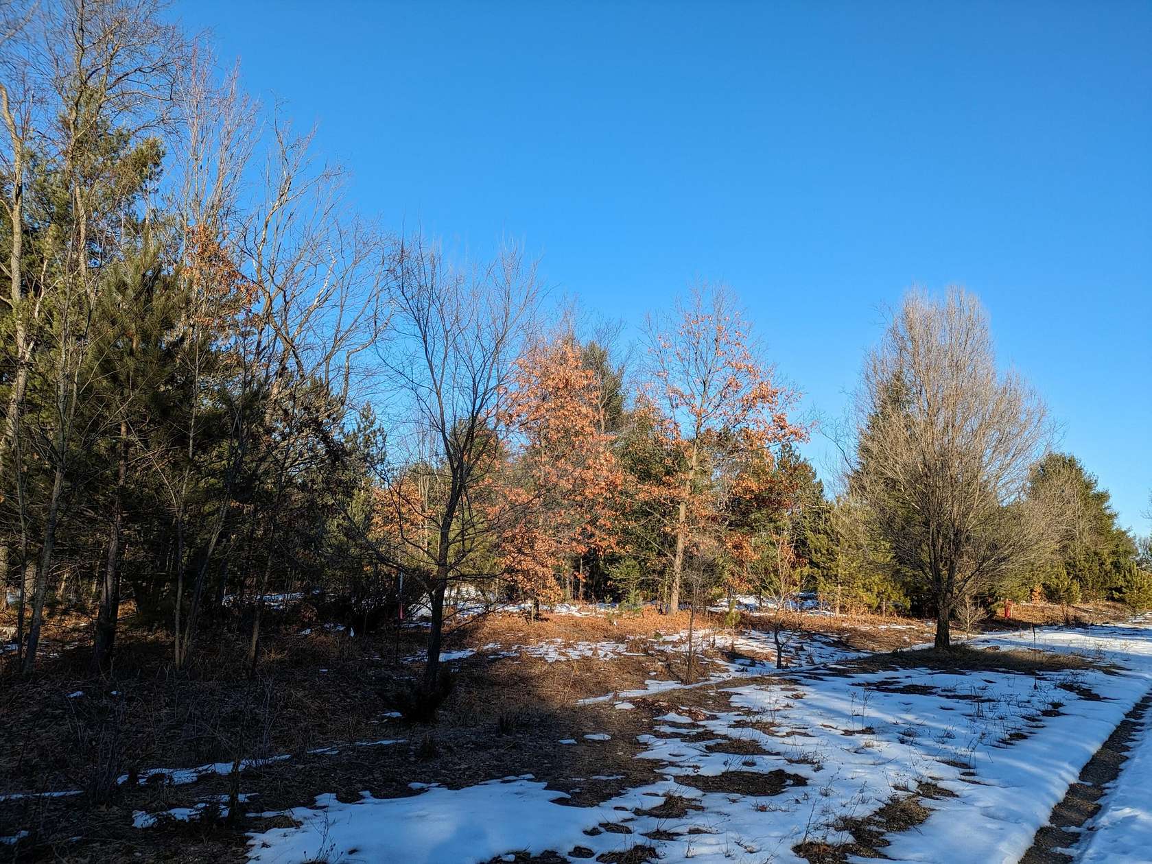 0.45 Acres of Land for Sale in Kaleva, Michigan