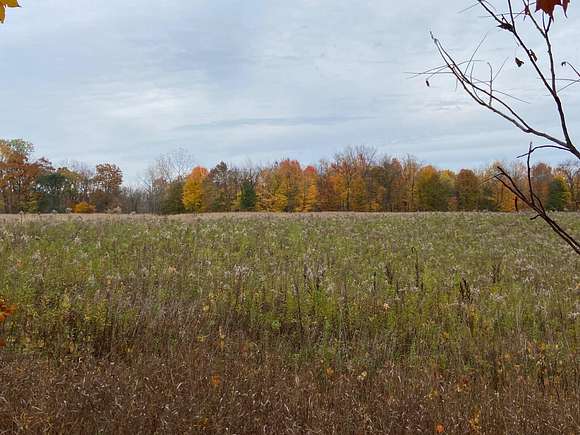 1.5 Acres of Residential Land for Sale in Scotts, Michigan