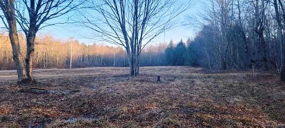 24.8 Acres of Land for Sale in Liberty, New York