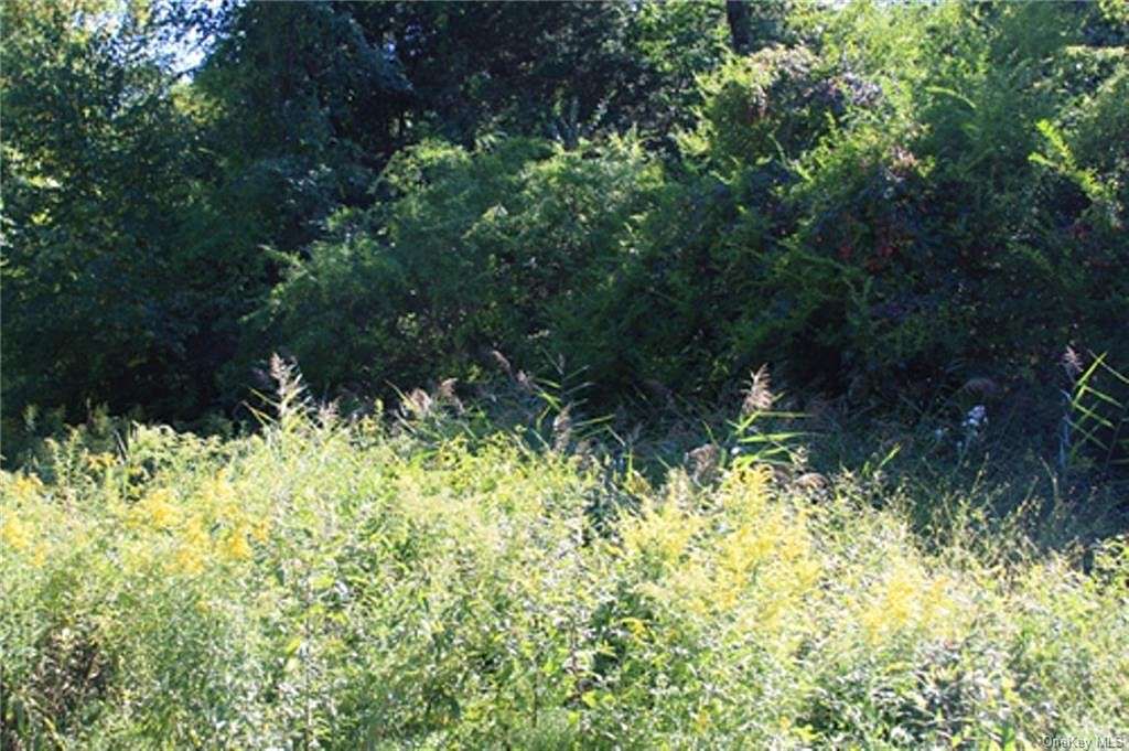 2.9 Acres of Land for Sale in Dover Town, New York