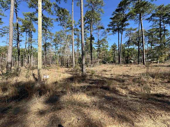 1.1 Acres of Residential Land for Sale in Brookeland, Texas