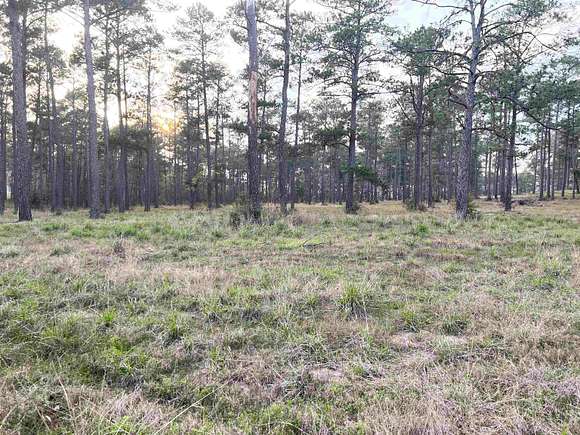 1.01 Acres of Residential Land for Sale in Brookeland, Texas