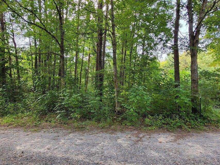 34.5 Acres of Land for Sale in Pikeville, Tennessee