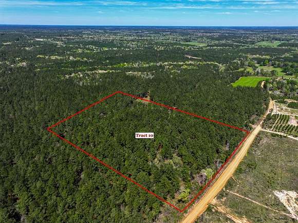 11 Acres of Land for Sale in Livingston, Texas
