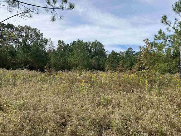30 Acres of Agricultural Land for Sale in Grapevine, Arkansas