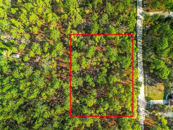 1 Acre of Residential Land for Sale in Weeki Wachee, Florida