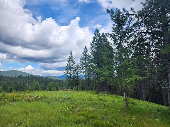 40 Acres of Recreational Land for Sale in Coeur d'Alene, Idaho