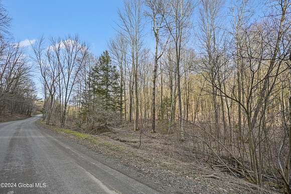 27.4 Acres of Land for Sale in Middlefield, New York