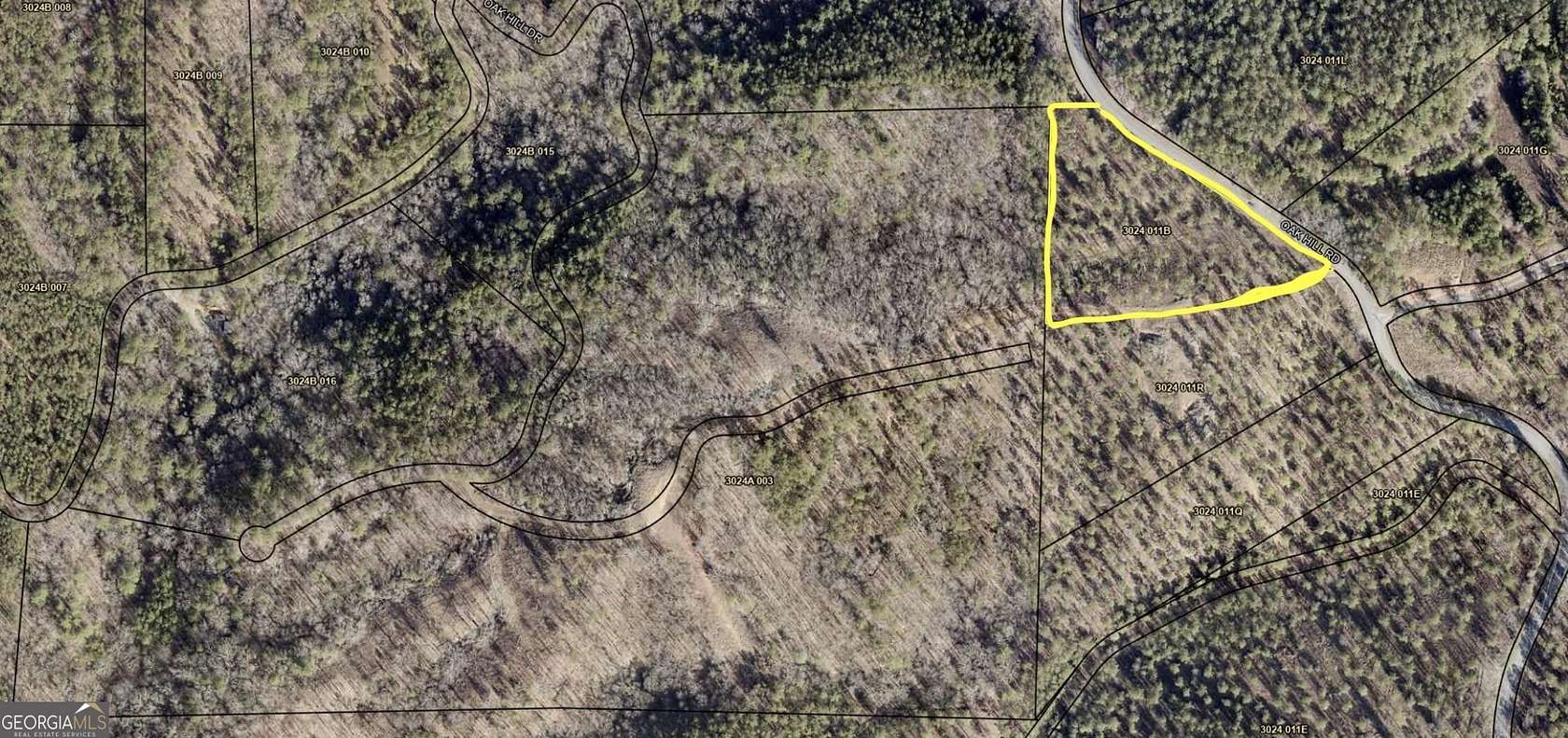 52 Acres of Agricultural Land for Sale in Ellijay, Georgia