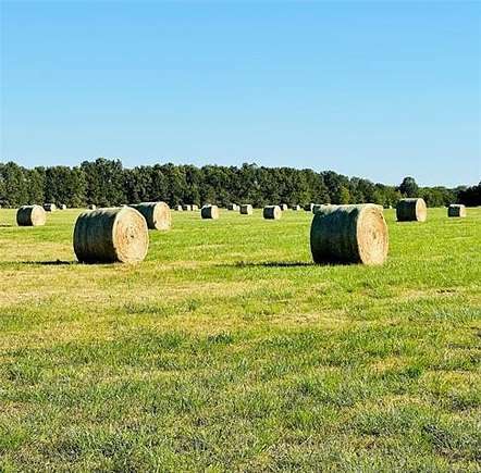 140 Acres of Recreational Land for Sale in Bluejacket, Oklahoma