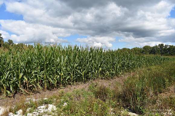 38 Acres of Agricultural Land for Sale in Milan, Michigan