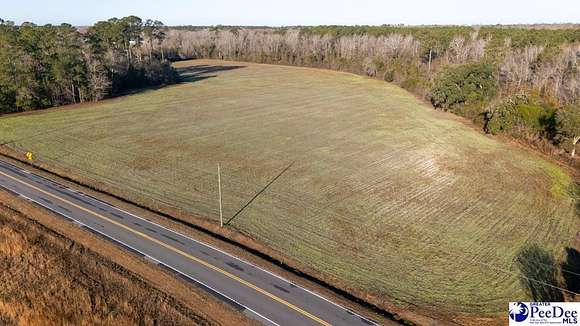 8.4 Acres of Land for Sale in Turbeville, South Carolina