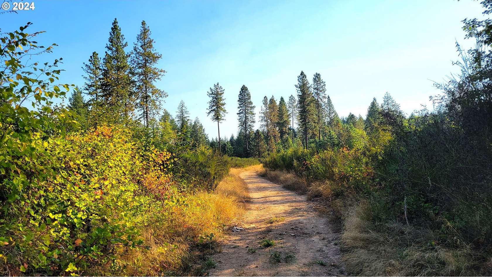 12.4 Acres of Land for Sale in Veneta, Oregon