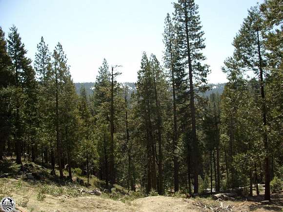 0.23 Acres of Residential Land for Sale in Cold Springs, California