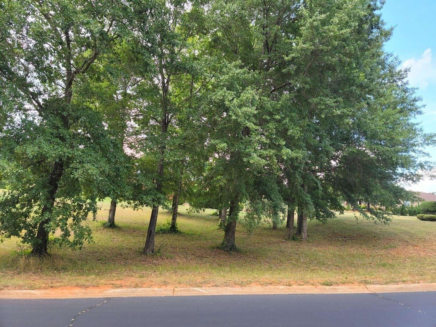 0.73 Acres of Residential Land for Sale in Chesnee, South Carolina