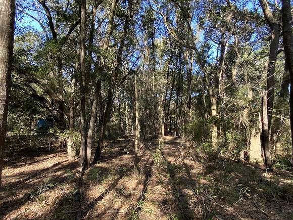 1.5 Acres of Residential Land for Sale in Saint Helena Island, South Carolina