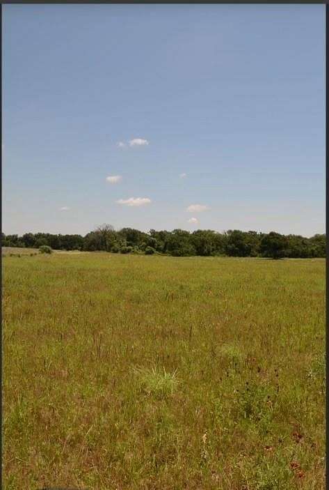 10 Acres of Agricultural Land for Sale in Whitney, Texas