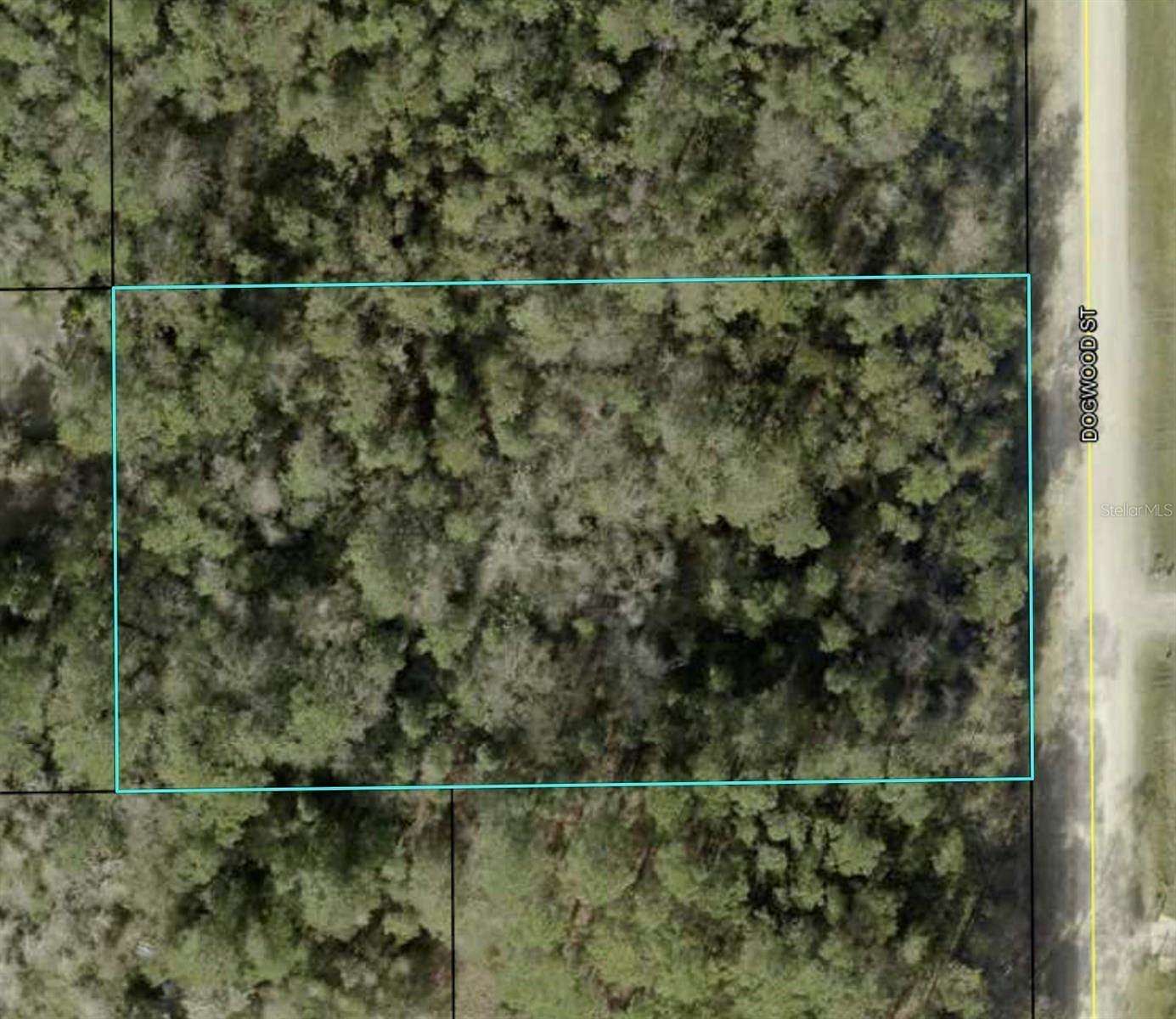 1.136 Acres of Residential Land for Sale in Bunnell, Florida