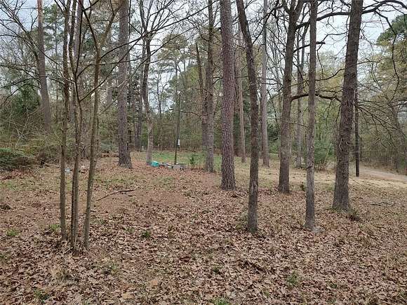 0.25 Acres of Residential Land for Sale in Mount Vernon, Texas
