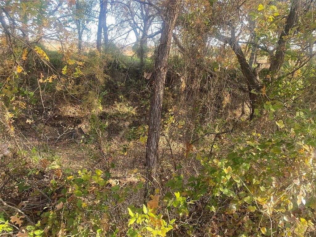 38 Acres of Land for Sale in Gustine, Texas