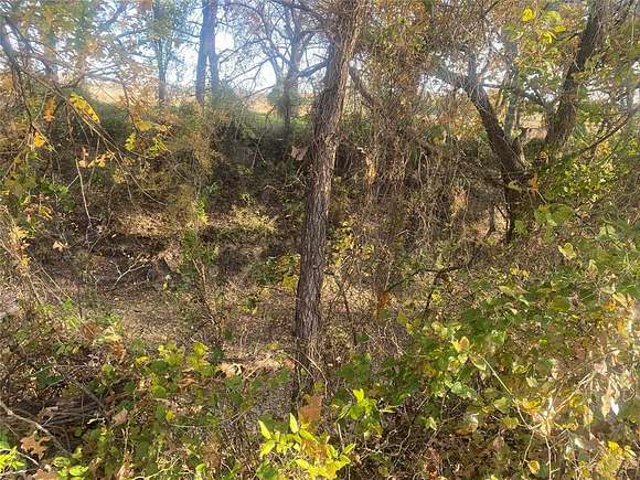 38 Acres of Recreational Land for Sale in Gustine, Texas