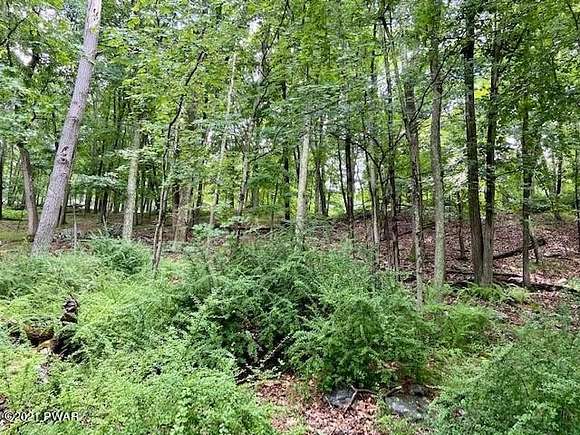 0.31 Acres of Residential Land for Sale in Bushkill, Pennsylvania