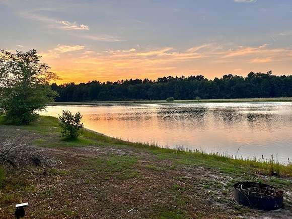 20 Acres of Recreational Land for Sale in Wallace, North Carolina