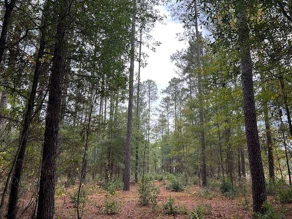 3 Acres of Land for Sale in Salley, South Carolina