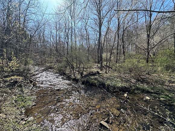 10.3 Acres of Recreational Land for Sale in Clarksville Town, New York